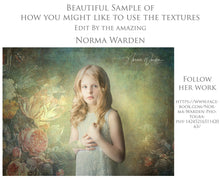 Load image into Gallery viewer, 10 OLD MASTERS Floral Background TEXTURES / DIGITAL BACKDROPS - Set 1
