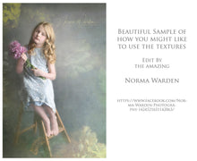 Load image into Gallery viewer, 10 OLD MASTERS Floral Background TEXTURES / DIGITAL BACKDROPS - Set 8
