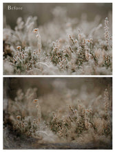 Load image into Gallery viewer, 10 OLD PHOTO Fine Art TEXTURES - Set 8
