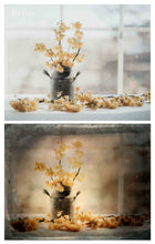 Load image into Gallery viewer, 10 OLD PHOTO Fine Art TEXTURES - Set 7
