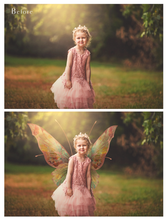 Load image into Gallery viewer, Digital Faery Wing Overlays! Fairy wings, Png overlays for photoshop. Photography editing. High resolution, 300dpi fairy wings. Overlays for photography. Digital stock and resources. Graphic design. Fairy Photos. Colourful Fairy wings. Faerie Wings.
