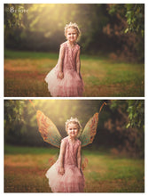 Load image into Gallery viewer, Digital Faery Wing Overlays! Fairy wings, Png overlays for photoshop. Photography editing. High resolution, 300dpi fairy wings. Overlays for photography. Digital stock and resources. Graphic design. Fairy Photos. Colourful Fairy wings. Faerie Wings.
