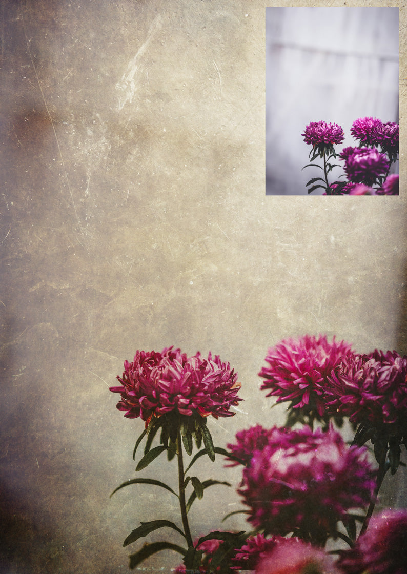 40 High resolution Textures for Photographers, Photoshop, Digital art and Creatives. Digital photography edits, Photoshop. Scratch, Fine Art Antique, Vintage, Grunge, Light, Dark Bundle. Textured printable Canvas, Colour, Monochrome, Bundle. Graphic Assets for photography, digital scrapbooking and design. ATP Textures