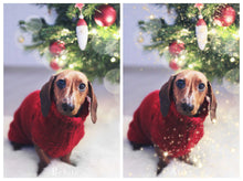 Load image into Gallery viewer, PIXIE SPARKLE DUST Digital Overlays
