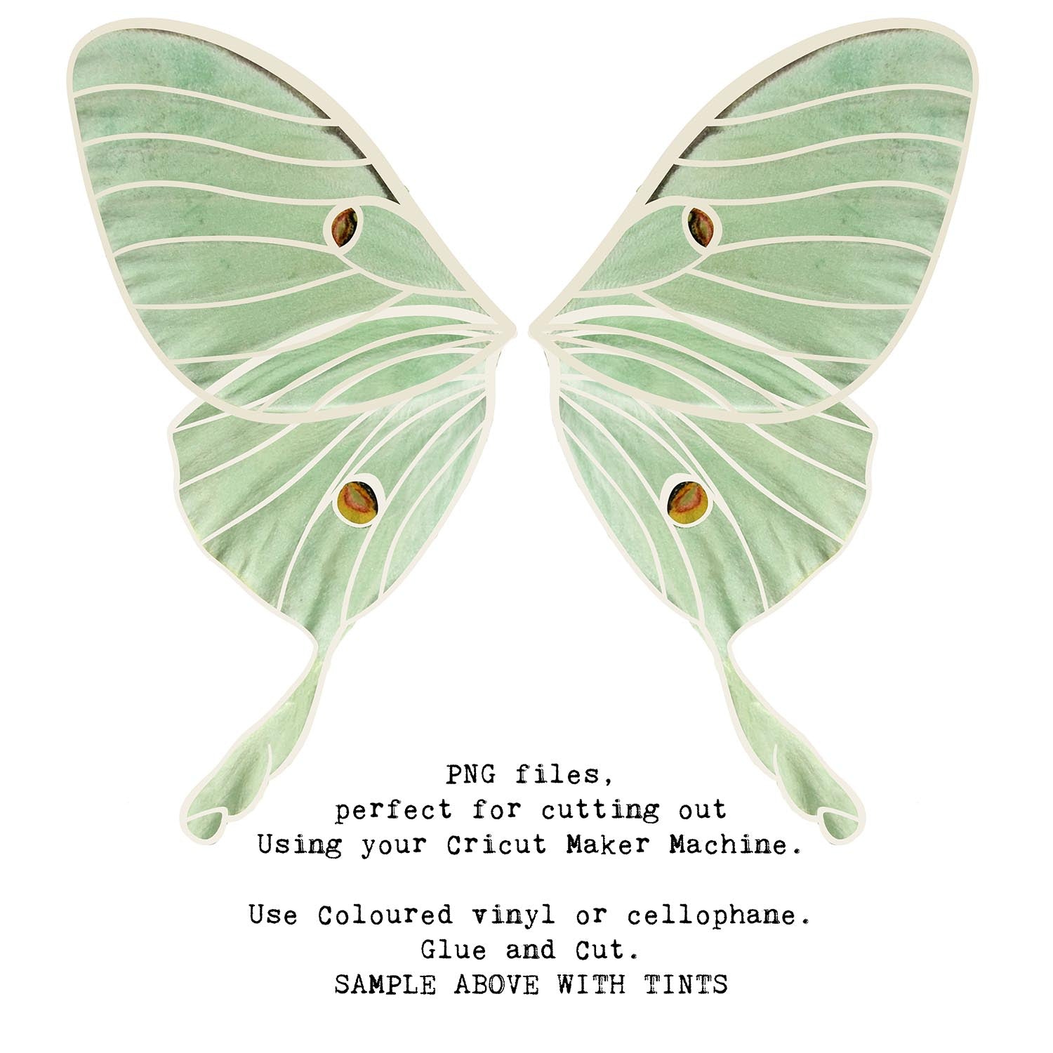 SVG & PNG Fairy Wing files for Cricut or Silhouette Cameo Cutting Machine. To create wearable fairy wings, in adult or children sizes.  Use this clipart design for Halloween Costumes, Fantasy or Cosplay or photography. These are Individual Wing Pieces, for you to cut and assemble. This is a digital product. 