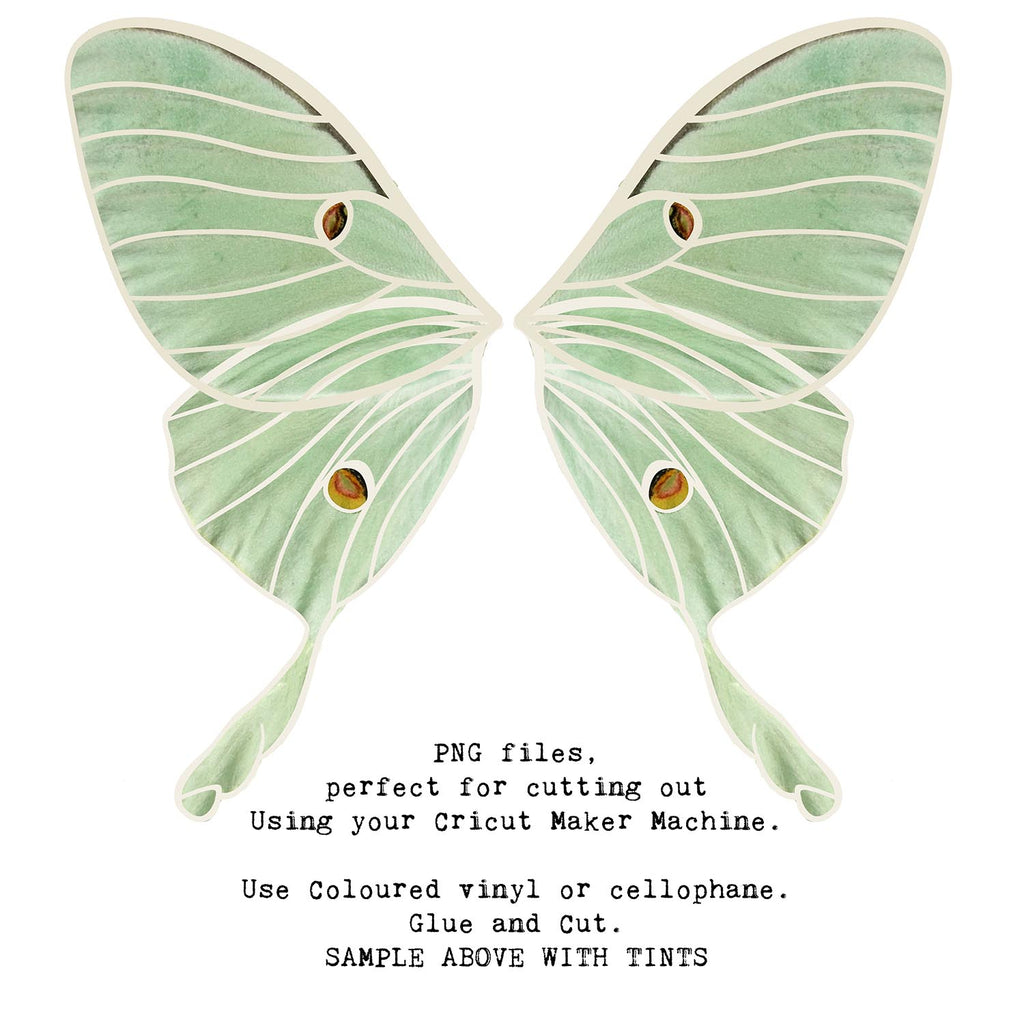 SVG & PNG Fairy Wing files for Cricut or Silhouette Cameo Cutting Machine. To create wearable fairy wings, in adult or children sizes.  Use this clipart design for Halloween Costumes, Fantasy or Cosplay or photography. These are Individual Wing Pieces, for you to cut and assemble. This is a digital product. 