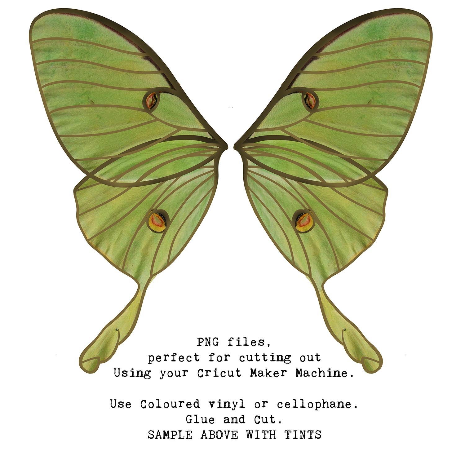 SVG & PNG Fairy Wing files for Cricut or Silhouette Cameo Cutting Machine. To create wearable fairy wings, in adult or children sizes.  Use this clipart design for Halloween Costumes, Fantasy or Cosplay or photography. These are Individual Wing Pieces, for you to cut and assemble. This is a digital product. 