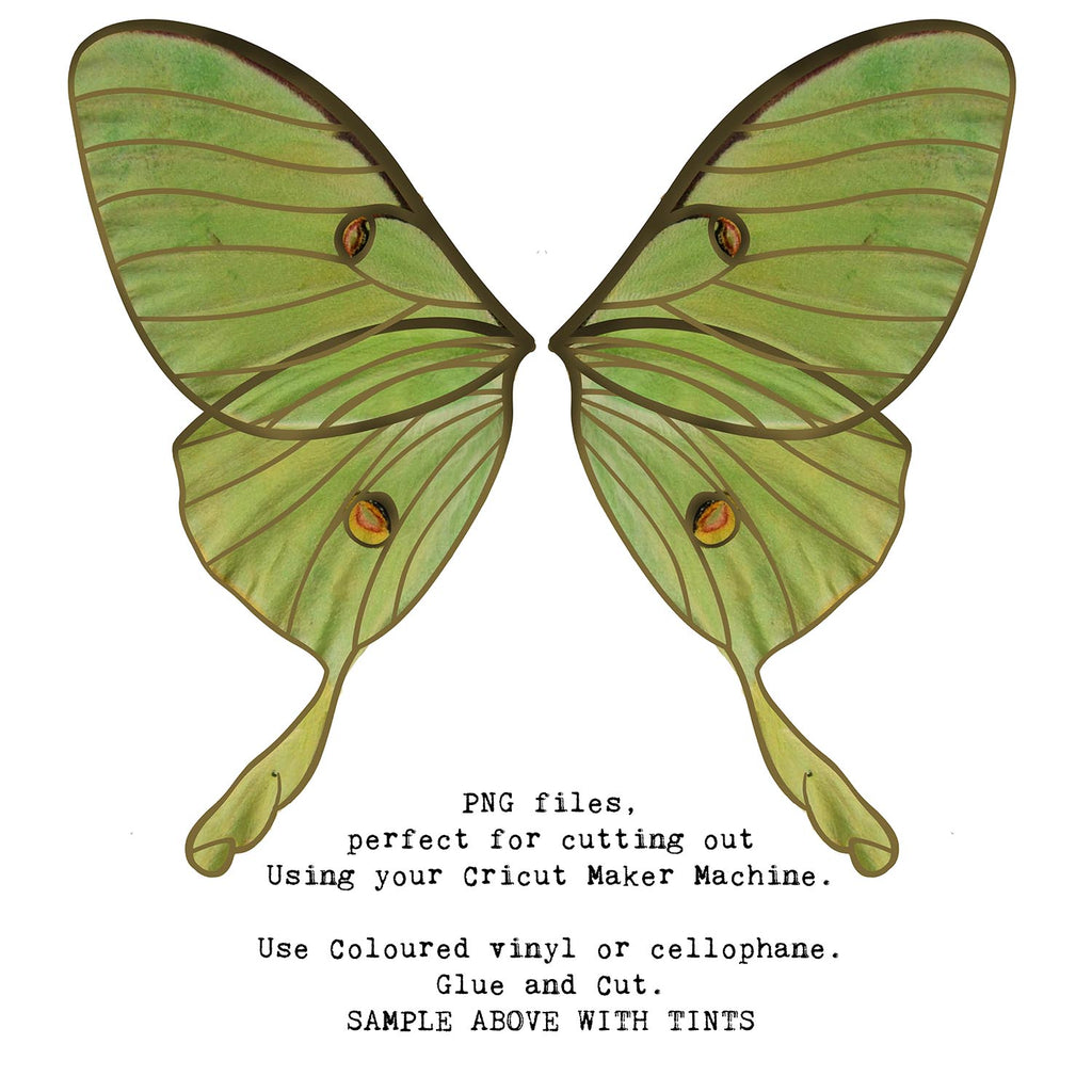 SVG & PNG Fairy Wing files for Cricut or Silhouette Cameo Cutting Machine. To create wearable fairy wings, in adult or children sizes.  Use this clipart design for Halloween Costumes, Fantasy or Cosplay or photography. These are Individual Wing Pieces, for you to cut and assemble. This is a digital product. 