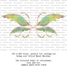 Load image into Gallery viewer, SVG &amp; PNG Fairy Wing files for Cricut or Silhouette Cameo Cutting Machine. Create wearable fairy wings, in adult or children sizes.  Clipart design for Halloween Costumes, Fantasy or Cosplay or photography. Printable for weddings, engagement, baby shower invitations. Individual wing parts. Cut and assemble. Fairycore.
