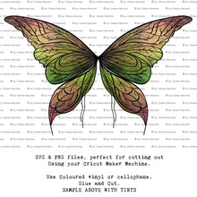Load image into Gallery viewer, SVG FAIRY WINGS for CRICUT - Set 55
