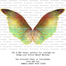Load image into Gallery viewer, SVG FAIRY WINGS for CRICUT - Set 61
