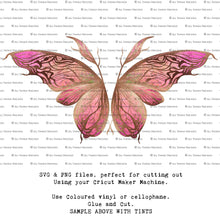 Load image into Gallery viewer, SVG FAIRY WINGS for CRICUT - Set 66
