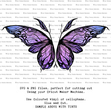 Load image into Gallery viewer, SVG FAIRY WINGS for CRICUT - Set 66
