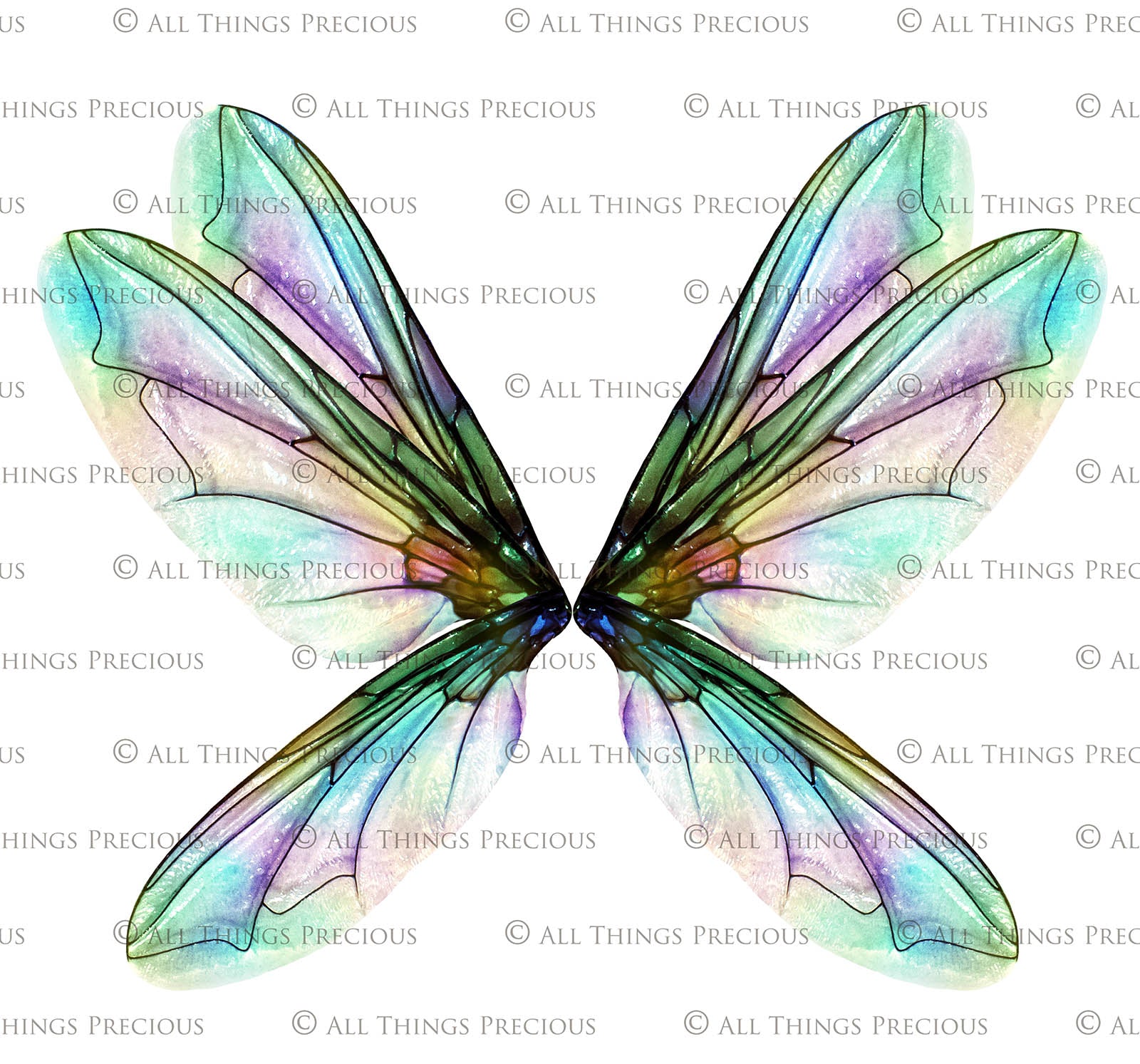 PRINTABLE FAIRY WINGS - Set 22