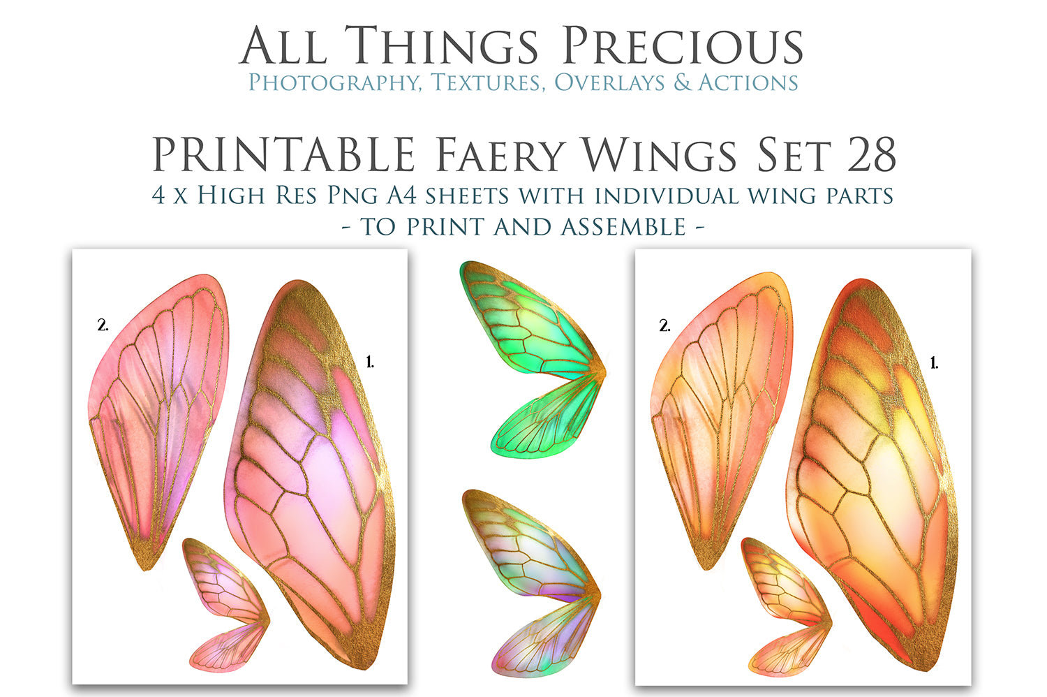 PRINTABLE FAIRY WINGS - Set 28