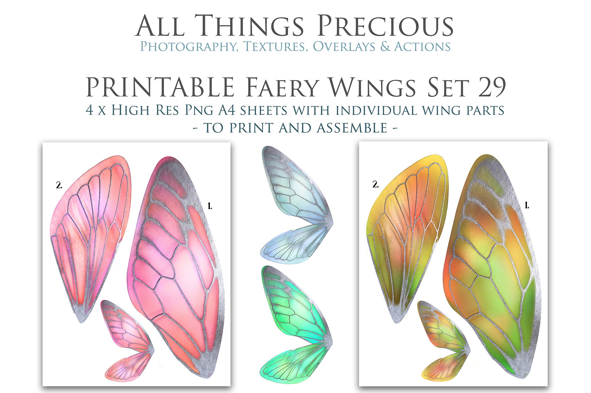 PRINTABLE FAIRY WINGS - Set 29