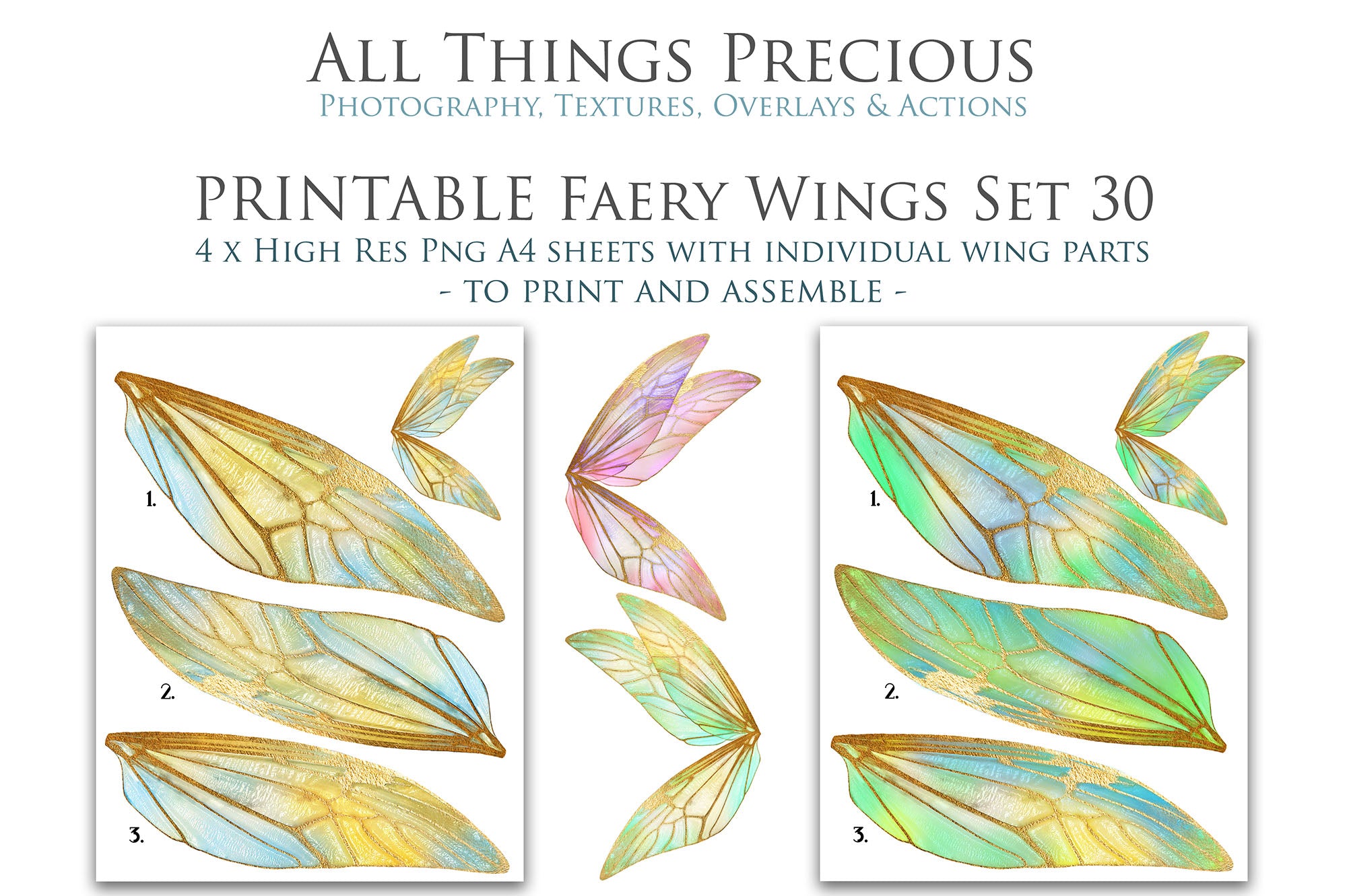 PRINTABLE FAIRY WINGS - Set 30