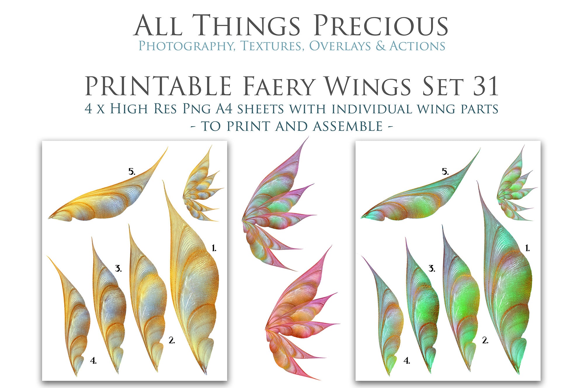 PRINTABLE FAIRY WINGS - Set 31