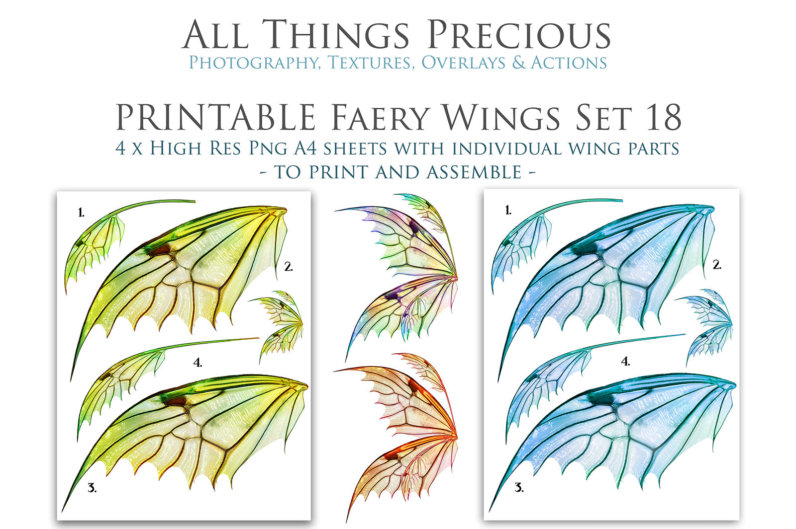 PRINTABLE FAIRY WINGS - Set 18