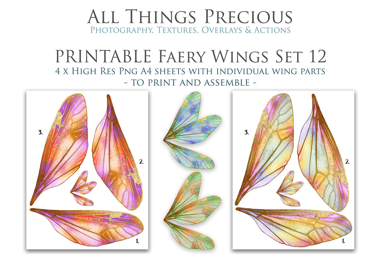 PRINTABLE FAIRY WINGS - Set 12