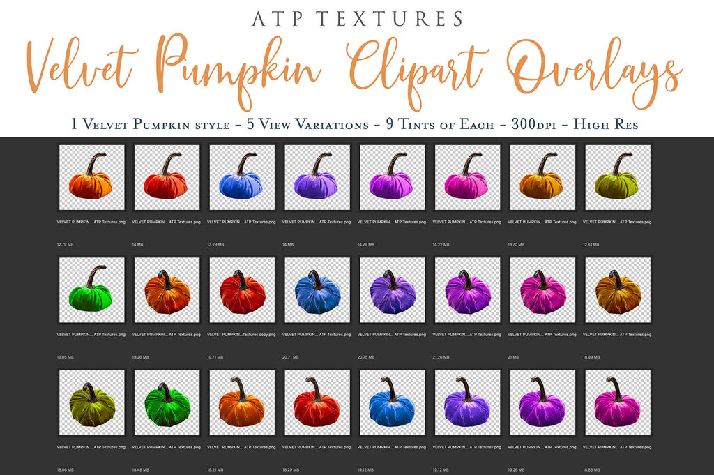 VELVET PUMPKIN CLIPART -  Digital Overlays