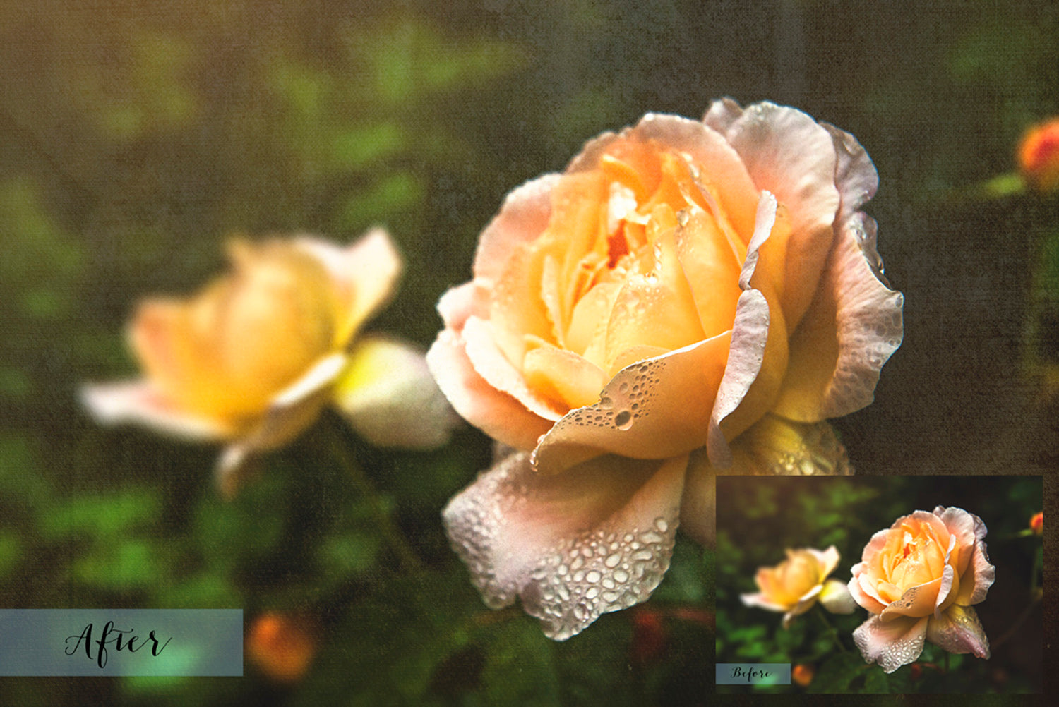 40 High resolution Textures for Photographers, Photoshop, Digital art and Creatives. Digital photography edits, Photoshop. Scratch, Fine Art Antique, Vintage, Grunge, Light, Dark Bundle. Textured printable Canvas, Colour, Monochrome, Bundle. Graphic Assets for photography, digital scrapbooking and design. ATP Textures