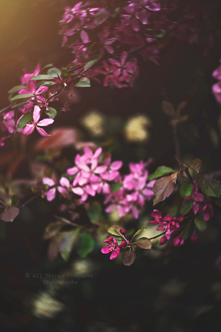 Photoshop Actions for Photography Edits. PS atn files are compatible with all versions of PS CS6. Photoshop Actions for professional photographers, photo edits and Instagram influencers. Warm, Rich, Light, Matte. For Wedding, Newborn, Studio Photography. By ATP Textures