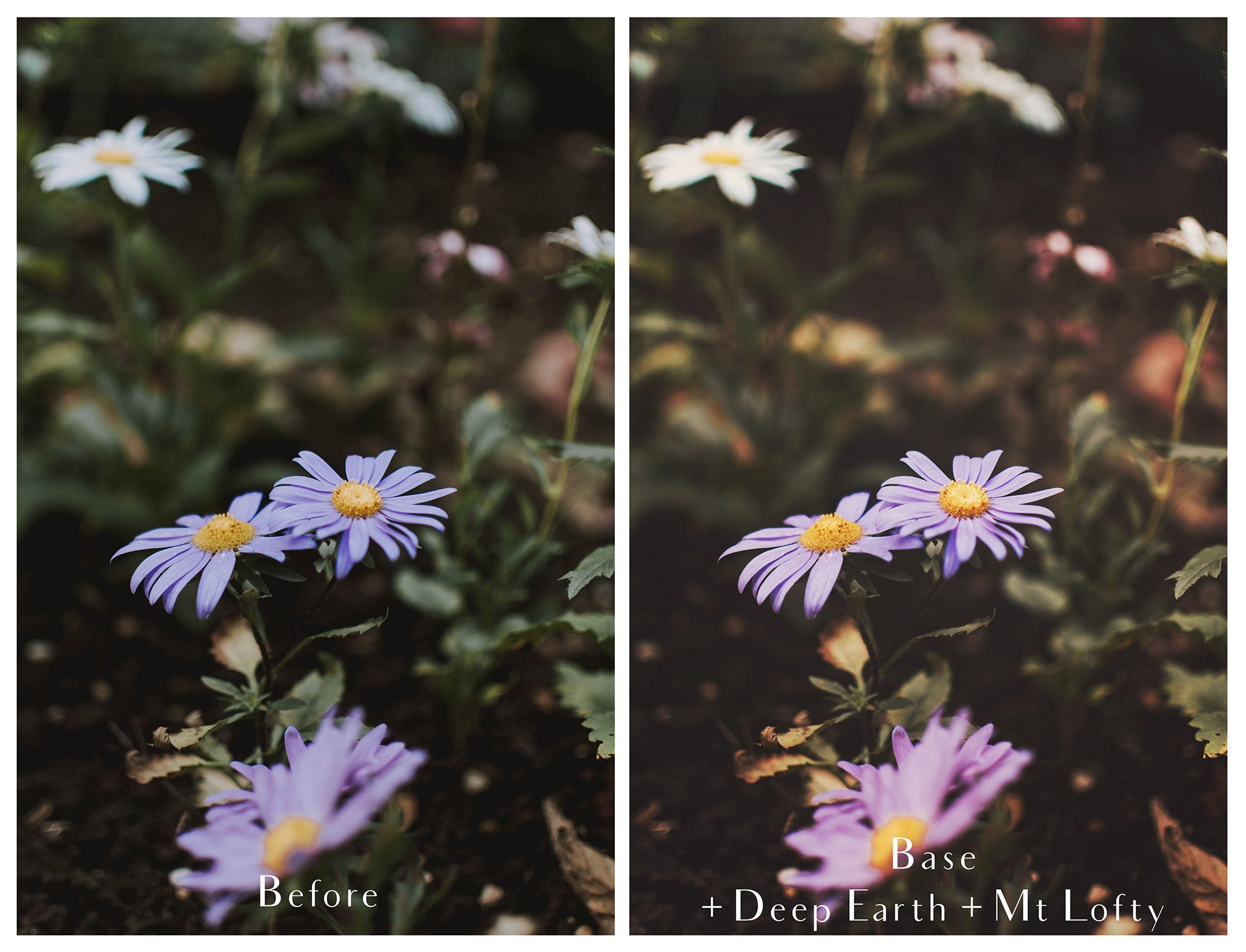 Photoshop Actions for Photography Edits. PS atn files are compatible with all versions of PS CS6. Photoshop Actions for professional photographers, photo edits and Instagram influencers. Warm, Rich, Light, Matte. For Wedding, Newborn, Studio Photography. By ATP Textures