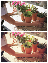 Load image into Gallery viewer, RICH &amp; WARM Photoshop Actions
