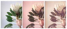 Load image into Gallery viewer, PINK TINT Lightroom Presets - For Mobile and Desktop
