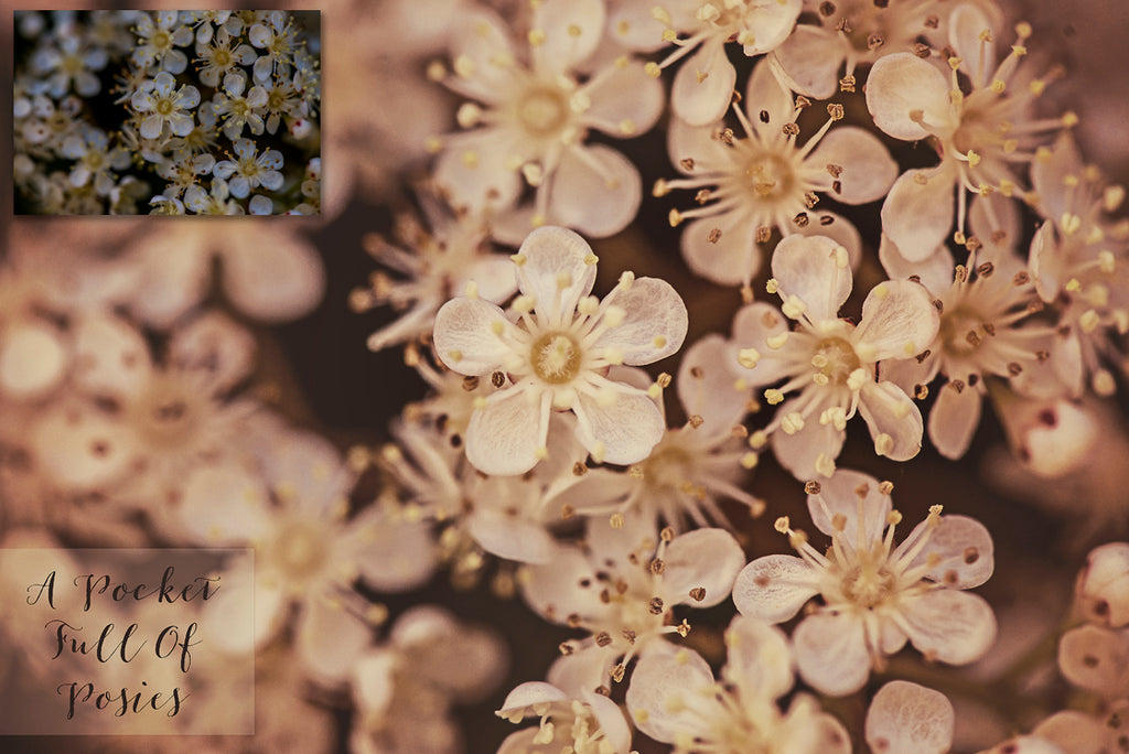 ATP Textures