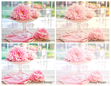 Load image into Gallery viewer, WOODLAND Lightroom Presets - For DESKTOP
