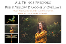 Load image into Gallery viewer, DRAGONFLY OVERLAYS - Red &amp; Yellow - Digital Overlays

