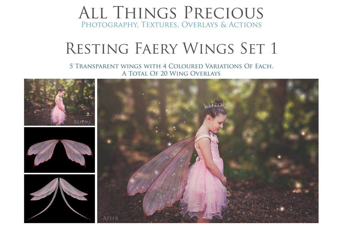 Digital Overlays for Photographers, Graphic design, scrapbooking and creatives.. Fairy Wings. High resolution, fine art digital assets for creating fantasy art.  Png overlay with transparent background. Magical Edit. Png Photo editing art assets.
