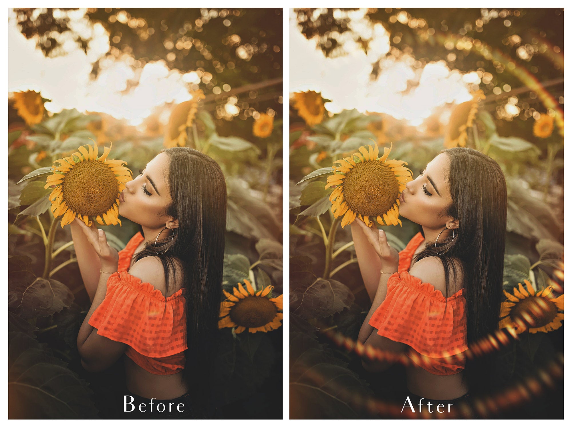 Sun flare overlays for photographers. Radial flare, rainbow flare, ring flare overlay,  lens flare, digital background for photoshop, High resolution by ATP textures.