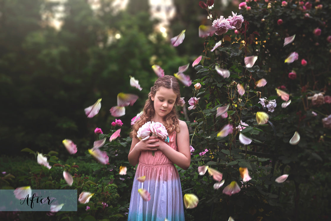 Sweet floaty Red Rose Petals! Png clipart confetti, Overlays for photographers, Photoshop Overlay, digital edits, photoshop. Photography Editing graphic assets. Red, gold, falling valentine love. Wedding, Couples Photo. High resolution, ATP textures. 