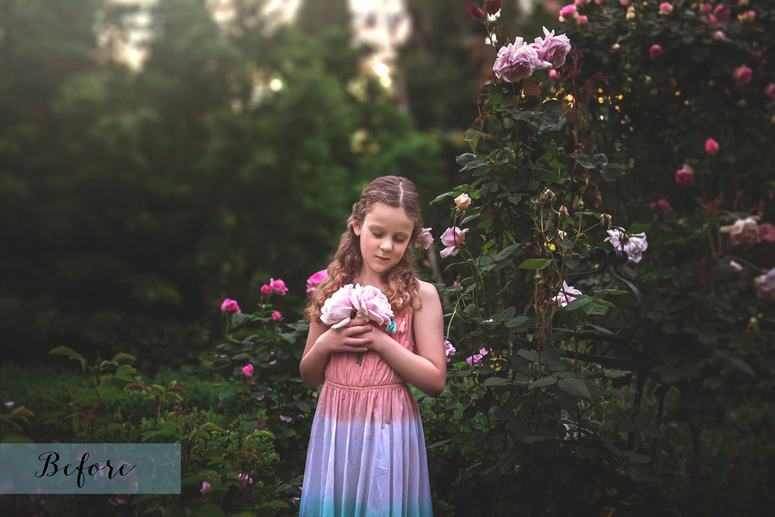 ROSE PETAL Digital Overlays