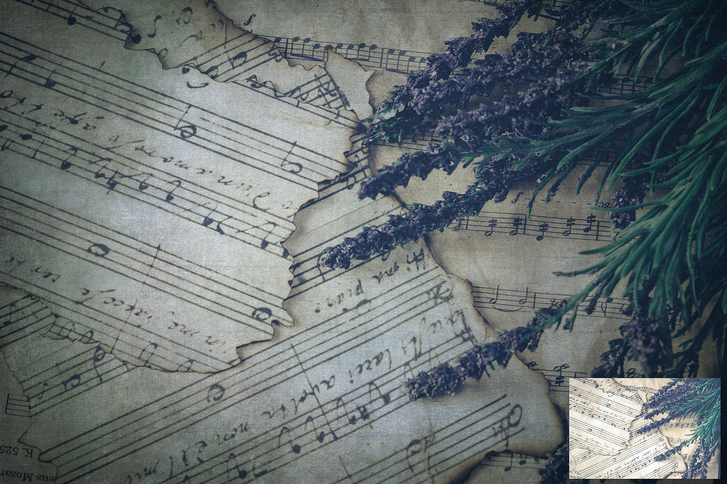 40 High resolution Textures for Photographers, Photoshop, Digital art and Creatives. Digital photography edits, Photoshop. Scratch, Fine Art Antique, Vintage, Grunge, Light, Dark Bundle. Textured printable Canvas, Colour, Monochrome, Bundle. Graphic Assets for photography, digital scrapbooking and design. ATP Textures