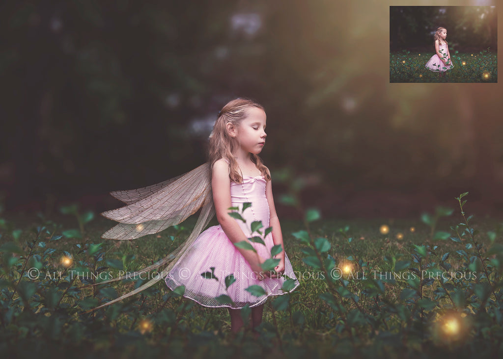 Digital Overlays for Photographers, Graphic design, scrapbooking and creatives.. Fairy Wings. High resolution, fine art digital assets for creating fantasy art.  Png overlay with transparent background. Magical Edit. Png Photo editing art assets.