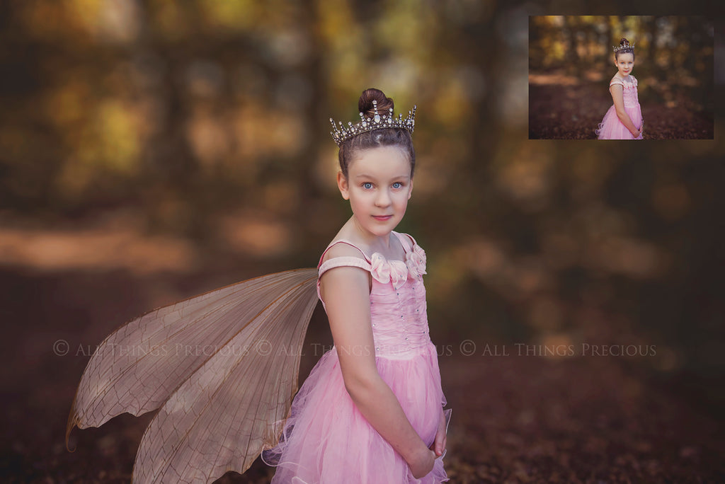 Digital Overlays for Photographers, Graphic design, scrapbooking and creatives.. Fairy Wings. High resolution, fine art digital assets for creating fantasy art.  Png overlay with transparent background. Magical Edit. Png Photo editing art assets.