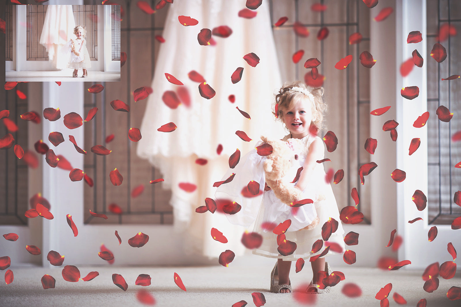 Sweet floaty Red Rose Petals! Png clipart confetti, Overlays for photographers, Photoshop Overlay, digital edits, photoshop. Photography Editing graphic assets. Red, gold, falling valentine love. Wedding, Couples Photo. High resolution, ATP textures. 