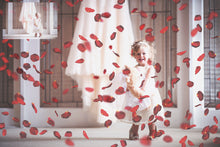 Load image into Gallery viewer, RED ROSE PETAL Digital Overlays
