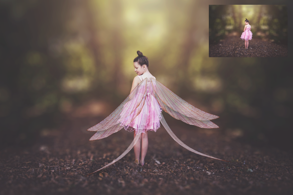 Digital Overlays for Photographers, Graphic design, scrapbooking and creatives.. Fairy Wings. High resolution, fine art digital assets for creating fantasy art.  Png overlay with transparent background. Magical Edit. Png Photo editing art assets.