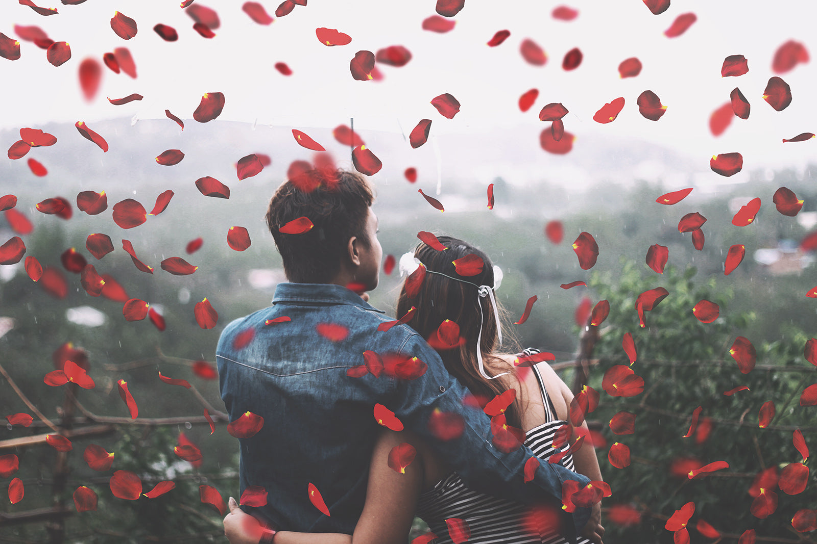 Sweet floaty Red Rose Petals! Png clipart confetti, Overlays for photographers, Photoshop Overlay, digital edits, photoshop. Photography Editing graphic assets. Red, gold, falling valentine love. Wedding, Couples Photo. High resolution, ATP textures. 