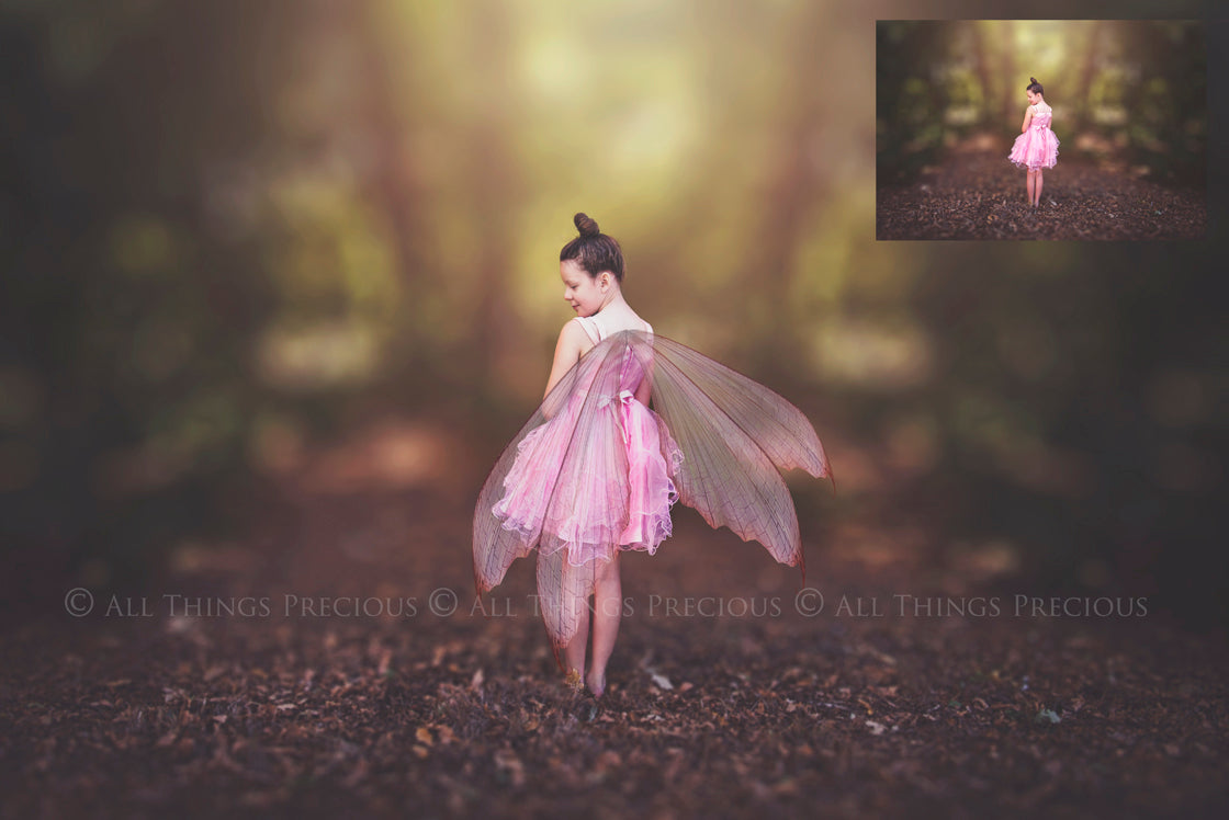 Digital Overlays for Photographers, Graphic design, scrapbooking and creatives.. Fairy Wings. High resolution, fine art digital assets for creating fantasy art.  Png overlay with transparent background. Magical Edit. Png Photo editing art assets.