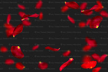 Load image into Gallery viewer, RED ROSE PETAL Digital Overlays
