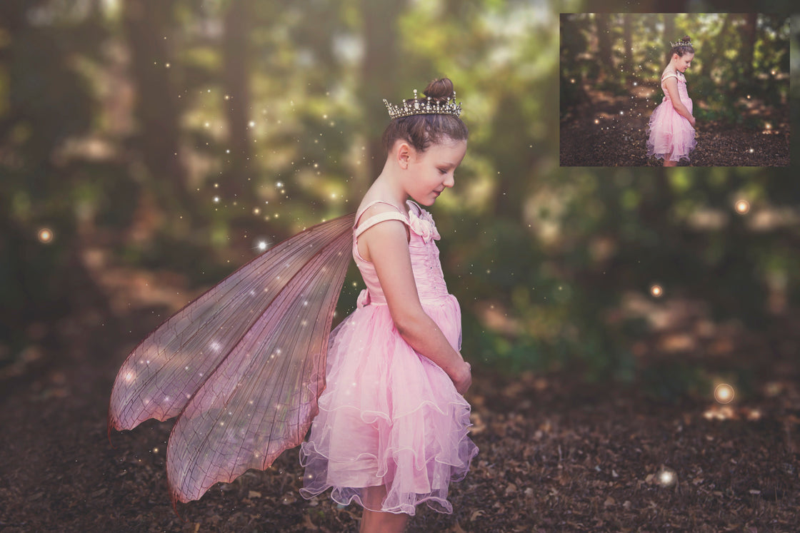 Digital Overlays for Photographers, Graphic design, scrapbooking and creatives.. Fairy Wings. High resolution, fine art digital assets for creating fantasy art.  Png overlay with transparent background. Magical Edit. Png Photo editing art assets.