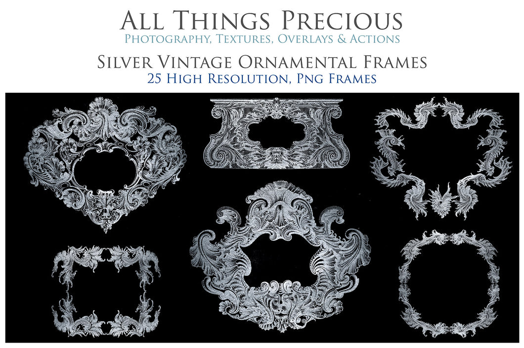 VINTAGE ORNAMENTAL SILVER Frames - Clipart