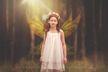Load image into Gallery viewer, 20 Png FAIRY WING Overlays Set 37
