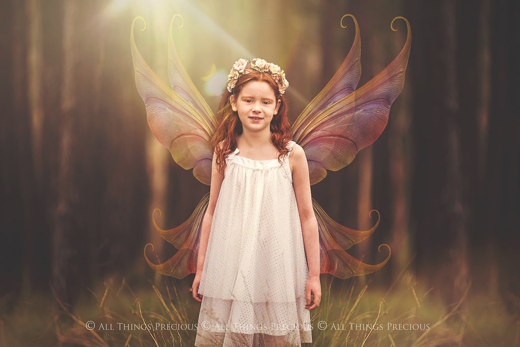 Digital Fairy Wings Overlays clipart. Png transparent see through files for photoshop. Butterfly Angel, Color, Print Photography editing. High resolution, 300dpi. Printable, Photography Graphic design assets, add on stock resources. Magical Scrapbooking design. Faery Photographer edit. Colorful Big Bundle. ATP Textures